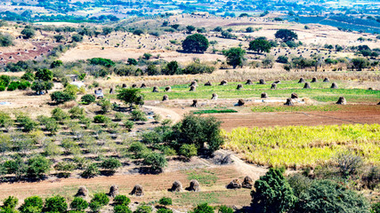 Fototapeta na wymiar Agricultural land with fruit trees, stacks of hay and a car driving on dirt road, farmland in blurred background, beautiful sunny day in countryside with arid land in the state of Jalisco Mexico