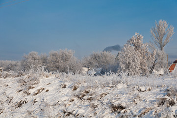 Morning winter landscape with snow hoarfrost and freeze