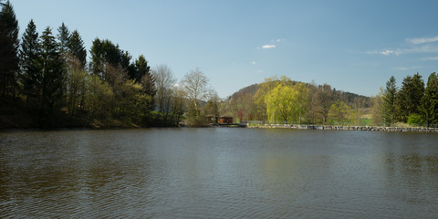 Waldsee