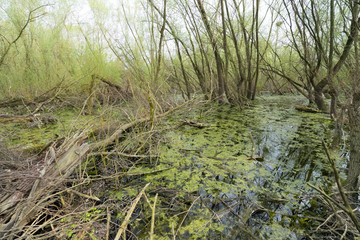 Landschaftsschutzgebiet Untereisesheim
