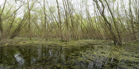 Landschaftsschutzgebiet Untereisesheim