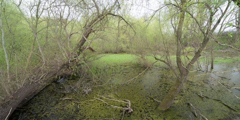 Landschaftsschutzgebiet Untereisesheim