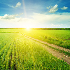 Wheat field and a delightful sunrise.