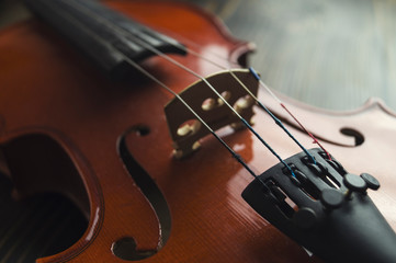 Violin lying on wooden background.