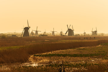 Obraz premium dutch windmills on a field at sunset