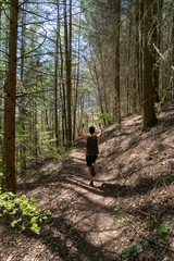 Obraz premium Pfalz/ Dahn / Wandern /Pfälzerwald / Deutschland