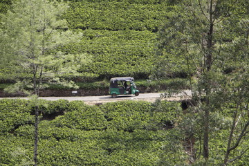 tuk tuk sri lanka 