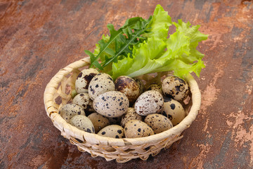 Fototapeta na wymiar Quail eggs in the basket