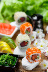 Japanese food. Sushi on the stone.
