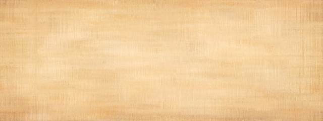 Fototapeta premium Grunge panoramic scratched texture.