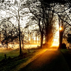 sunrise and mist