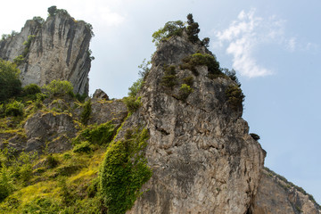 High Cliffs with trees in summit on sunny day