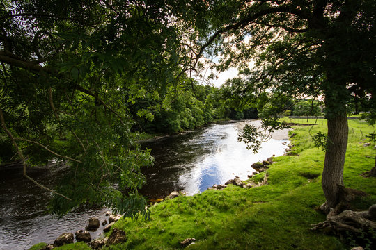 Along the River Wharfe