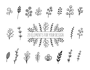 Floral and herbal set. Botanical elements for design on a white background. Sketch of branch, foliage,leaves, berries