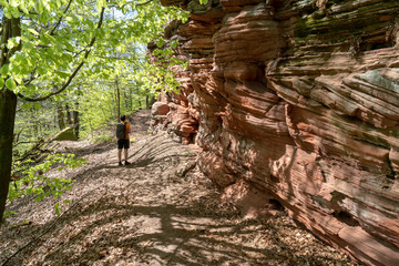 Pfalz/ Dahn / Wandern /Pfälzerwald / Deutschland