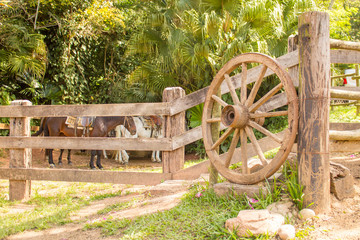 Wagon wheel leaning on wooden fence on an old farm