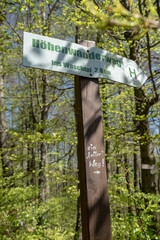 Pfalz/ Dahn / Wandern /Pfälzerwald / Deutschland