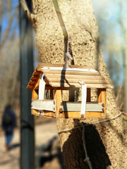 Feeder for birds and squirrels weighs on a tree in the spring sunny den. Close-up. Blurred background. Stock photography