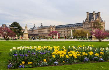 Marvelous spring Tuileries garden and view at the Louvre Palace Paris France. April 2019. 