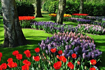 Naklejka premium Kwitnący ogród