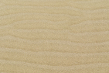 Fototapeta na wymiar sand background closeup