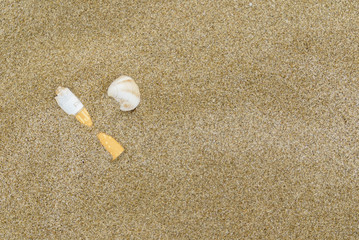 Fototapeta na wymiar cigarette on the sand beach