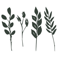 Set of vector illustrations. Four different sprigs.