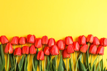 Many beautiful red tulips with green leaves on yellow background, space for text