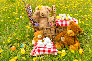 Teddy Bear's Picnic in summer with bright yellow dandelions in lush green meadow.  Concept: happy childhood memories