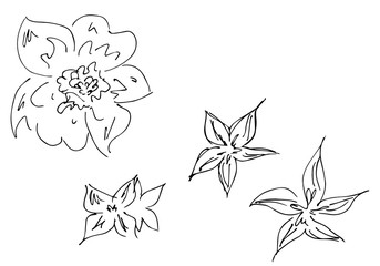 Hand Drawn  Illustrations Of Abstract Set of Flowers Isolated on White. Hand Drawn Sketch of a Flowers