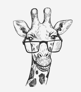 Giraffe Sketch. Hand Drawn Illustration Converted To Vector