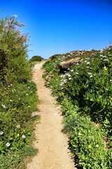 Fototapeta na wymiar Path between green vegetation in Azenhas do Mar