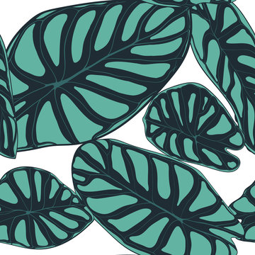 Seamless Tropical Pattern. Trendy Background with Rain Forest Plants. Vector Leaf of Alocasia. Araceae. Handwritten Jungle Foliage in Watercolor Style. Seamless Exotic Pattern for Textile, Fabric. © ingara