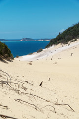 Blick auf Carlo Sand Blow bei Rainbow Beach in Queensland  Australien