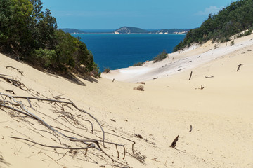 Blick auf Carlo Sand Blow bei Rainbow Beach in Queensland  Australien