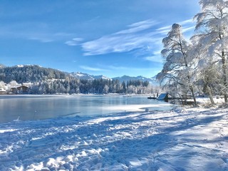 Winterlicher See