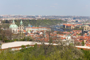 Fototapeta premium Spring Prague City with St. Nicholas' Cathedral and the green Nature and flowering Trees, Czech Republic