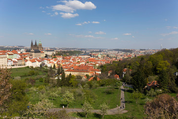 Fototapeta premium Spring Prague City with gothic Castle and the green Nature and flowering Trees, Czech Republic