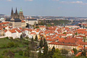 Fototapeta premium Spring Prague City with gothic Castle and the green Nature and flowering Trees, Czech Republic