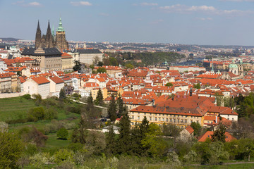 Obraz premium Spring Prague City with gothic Castle and the green Nature and flowering Trees, Czech Republic
