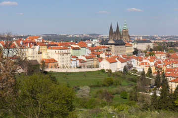 Fototapeta premium Spring Prague City with gothic Castle and the green Nature and flowering Trees, Czech Republic