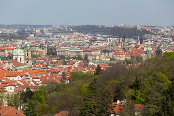 Fototapeta na wymiar Spring Prague City with the green Nature and flowering Trees, Czech Republic