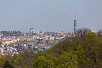 Obraz premium Spring Prague City with the green Nature and flowering Trees, Czech Republic