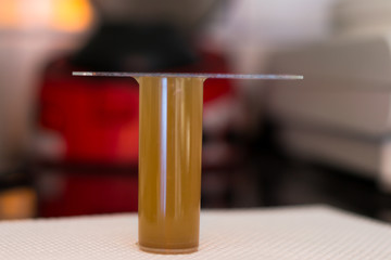 coproparasitological examination by flotation method at the veterinary clinic