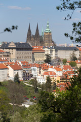 Spring Prague City with gothic Castle and the green Nature and flowering Trees, Czech Republic