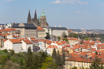 Obraz premium Spring Prague City with gothic Castle and the green Nature and flowering Trees, Czech Republic