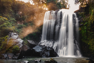 Fototapeta premium waterfall in forest