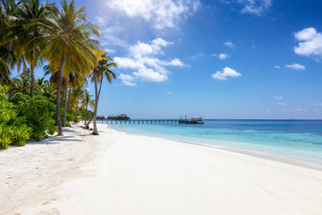 Fototapeta na wymiar Tropischer Paradiesstrand auf den Malediven mit Palmen, türkisem Ozean und blauem Himmel