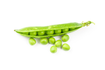fresh green pea