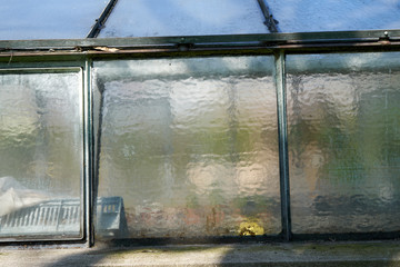 Garden shed closeup on a sunny day with shadows from trees. You see gardening items through the milk glass.